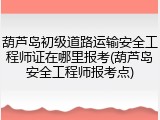 葫芦岛初级道路运输安全工程师证在哪里报考(葫芦岛安全工程师报考点)