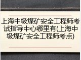 上海中级煤矿安全工程师考试指导中心哪里有(上海中级煤矿安全工程师考点)