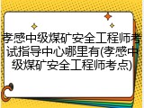 孝感中级煤矿安全工程师考试指导中心哪里有(孝感中级煤矿安全工程师考点)