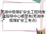 芜湖中级煤矿安全工程师考试指导中心哪里有(芜湖中级煤矿安工考点)