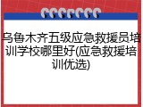 乌鲁木齐五级应急救援员培训学校哪里好(应急救援培训优选)