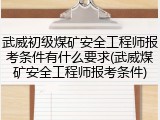 武威初级煤矿安全工程师报考条件有什么要求(武威煤矿安全工程师报考条件)