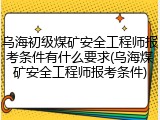 乌海初级煤矿安全工程师报考条件有什么要求(乌海煤矿安全工程师报考条件)