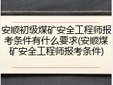 安顺初级煤矿安全工程师报考条件有什么要求(安顺煤矿安全工程师报考条件)