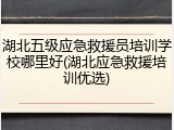湖北五级应急救援员培训学校哪里好(湖北应急救援培训优选)