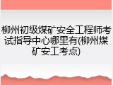 柳州初级煤矿安全工程师考试指导中心哪里有(柳州煤矿安工考点)