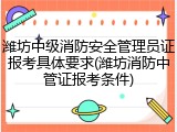 潍坊中级消防安全管理员证报考具体要求(潍坊消防中管证报考条件)