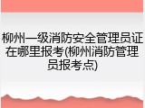 柳州一级消防安全管理员证在哪里报考(柳州消防管理员报考点)