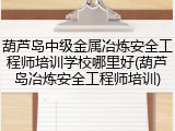 葫芦岛中级金属冶炼安全工程师培训学校哪里好(葫芦岛冶炼安全工程师培训)