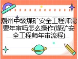 潮州中级煤矿安全工程师需要年审吗怎么操作(煤矿安全工程师年审流程)