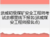 武威初级煤矿安全工程师考试去哪里线下报名(武威煤安工程师报名点)