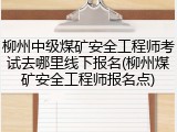 柳州中级煤矿安全工程师考试去哪里线下报名(柳州煤矿安全工程师报名点)
