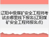 辽阳中级煤矿安全工程师考试去哪里线下报名(辽阳煤矿安全工程师报名点)