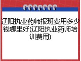 辽阳执业药师报班费用多少钱哪里好(辽阳执业药师培训费用)