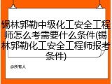 锡林郭勒中级化工安全工程师怎么考需要什么条件(锡林郭勒化工安全工程师报考条件)