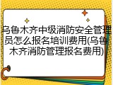 乌鲁木齐中级消防安全管理员怎么报名培训费用(乌鲁木齐消防管理报名费用)