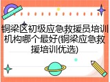 铜梁区初级应急救援员培训机构哪个最好(铜梁应急救援培训优选)