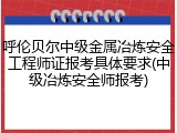 呼伦贝尔中级金属冶炼安全工程师证报考具体要求(中级冶炼安全师报考)
