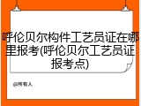 呼伦贝尔构件工艺员证在哪里报考(呼伦贝尔工艺员证报考点)