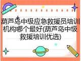 葫芦岛中级应急救援员培训机构哪个最好(葫芦岛中级救援培训优选)