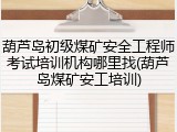 葫芦岛初级煤矿安全工程师考试培训机构哪里找(葫芦岛煤矿安工培训)