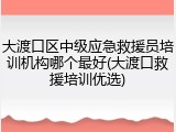 大渡口区中级应急救援员培训机构哪个最好(大渡口救援培训优选)
