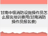 甘南中级消防设施操作员怎么报名培训费用(甘南消防操作员报名费)