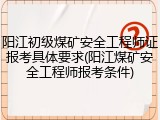 阳江初级煤矿安全工程师证报考具体要求(阳江煤矿安全工程师报考条件)