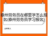 泰州劳务员在哪里学怎么报名(泰州劳务员学习报名)
