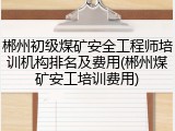 郴州初级煤矿安全工程师培训机构排名及费用(郴州煤矿安工培训费用)
