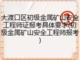 大渡口区初级金属矿山安全工程师证报考具体要求(初级金属矿山安全工程师报考)