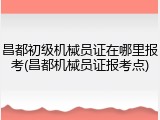 昌都初级机械员证在哪里报考(昌都机械员证报考点)