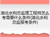 湖北水利总监理工程师怎么考需要什么条件(湖北水利总监报考条件)