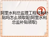 阿里水利总监理工程师有补贴吗怎么领取呢(阿里水利总监补贴领取)