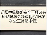 辽阳中级煤矿安全工程师有补贴吗怎么领取呢(辽阳煤矿安工补贴申领)