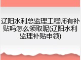 辽阳水利总监理工程师有补贴吗怎么领取呢(辽阳水利监理补贴申领)