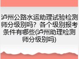 泸州公路水运助理试验检测师分级别吗？各个级别报考条件有哪些(泸州助理检测师分级别吗)