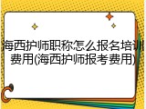 海西护师职称怎么报名培训费用(海西护师报考费用)