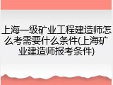 上海一级矿业工程建造师怎么考需要什么条件(上海矿业建造师报考条件)