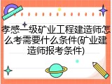 孝感一级矿业工程建造师怎么考需要什么条件(矿业建造师报考条件)