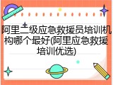 阿里二级应急救援员培训机构哪个最好(阿里应急救援培训优选)