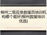 柳州二级应急救援员培训机构哪个最好(柳州救援培训优选)