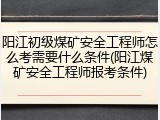 阳江初级煤矿安全工程师怎么考需要什么条件(阳江煤矿安全工程师报考条件)