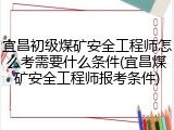 宜昌初级煤矿安全工程师怎么考需要什么条件(宜昌煤矿安全工程师报考条件)