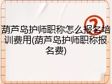 葫芦岛护师职称怎么报名培训费用(葫芦岛护师职称报名费)