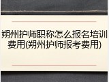 朔州护师职称怎么报名培训费用(朔州护师报考费用)
