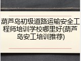 葫芦岛初级道路运输安全工程师培训学校哪里好(葫芦岛安工培训推荐)