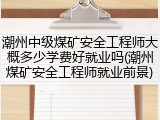 潮州中级煤矿安全工程师大概多少学费好就业吗(潮州煤矿安全工程师就业前景)