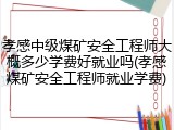孝感中级煤矿安全工程师大概多少学费好就业吗(孝感煤矿安全工程师就业学费)
