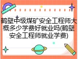 鹤壁中级煤矿安全工程师大概多少学费好就业吗(鹤壁安全工程师就业学费)